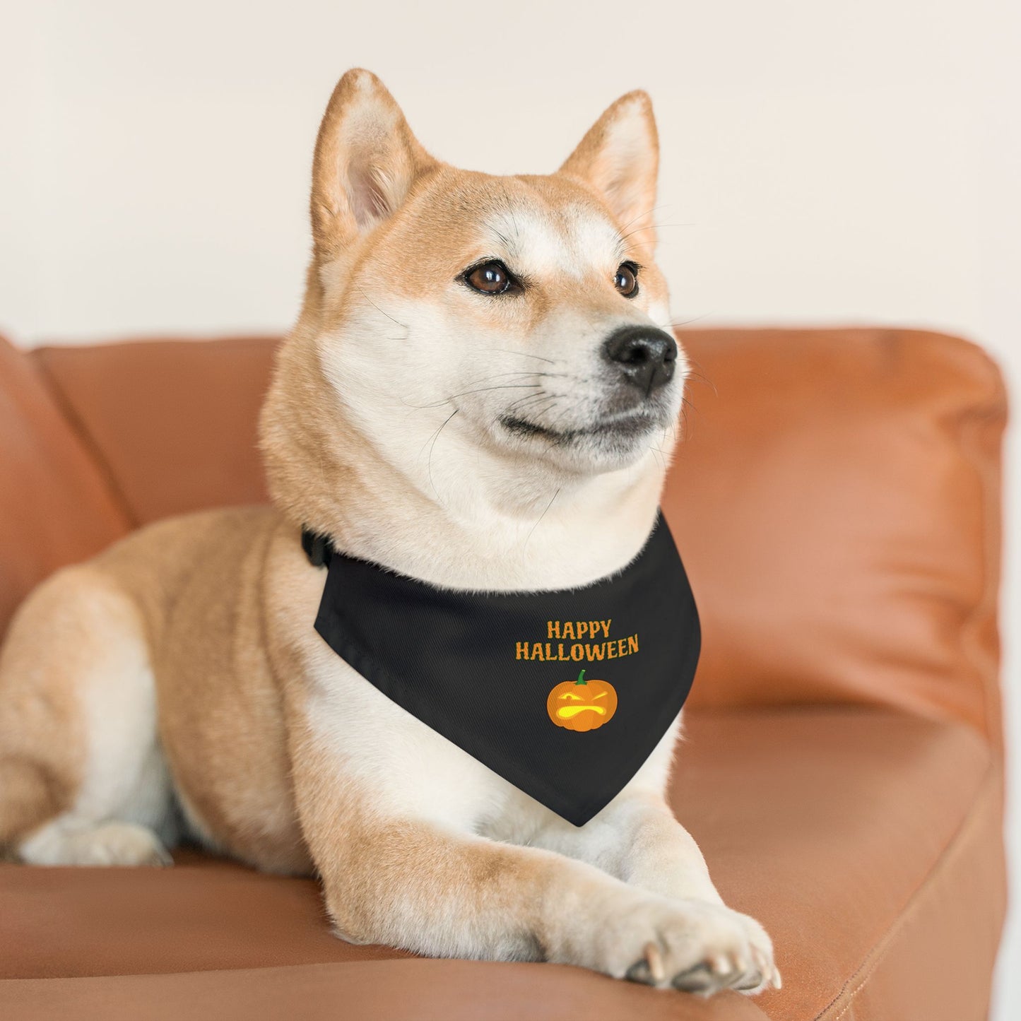 Black Halloween Pet Bandana